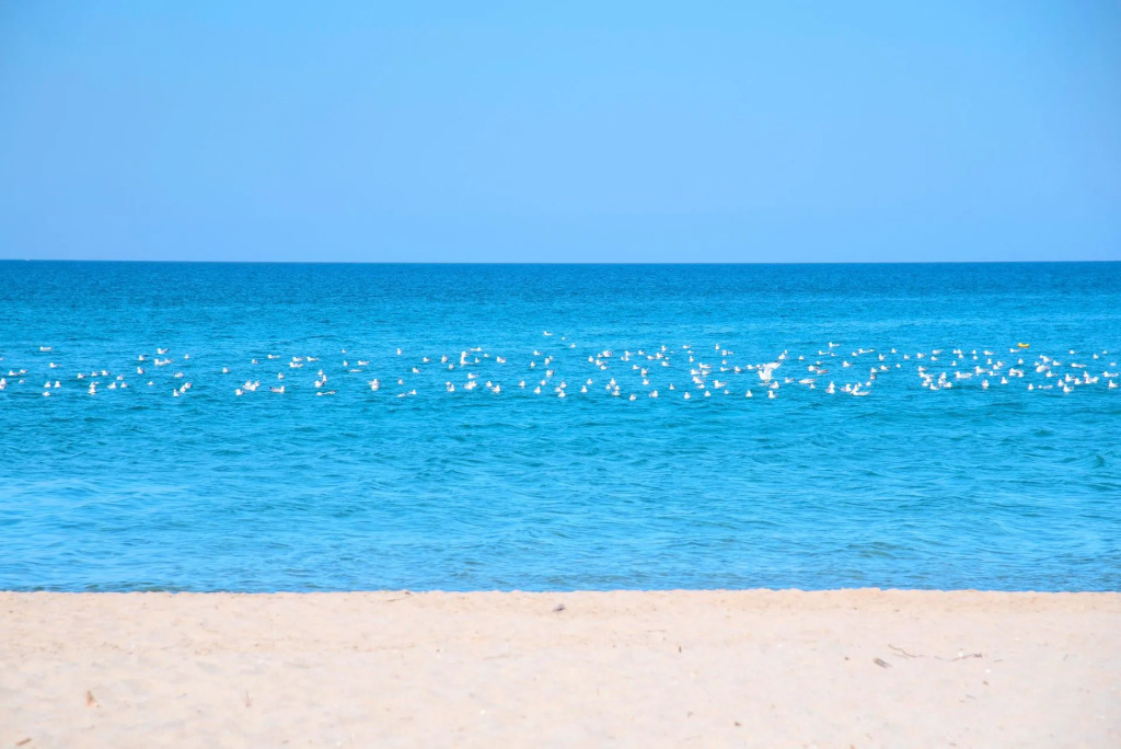 Sentido Villas