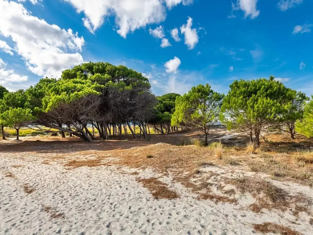 Elegant Three Room Apartment in Porto Torres
