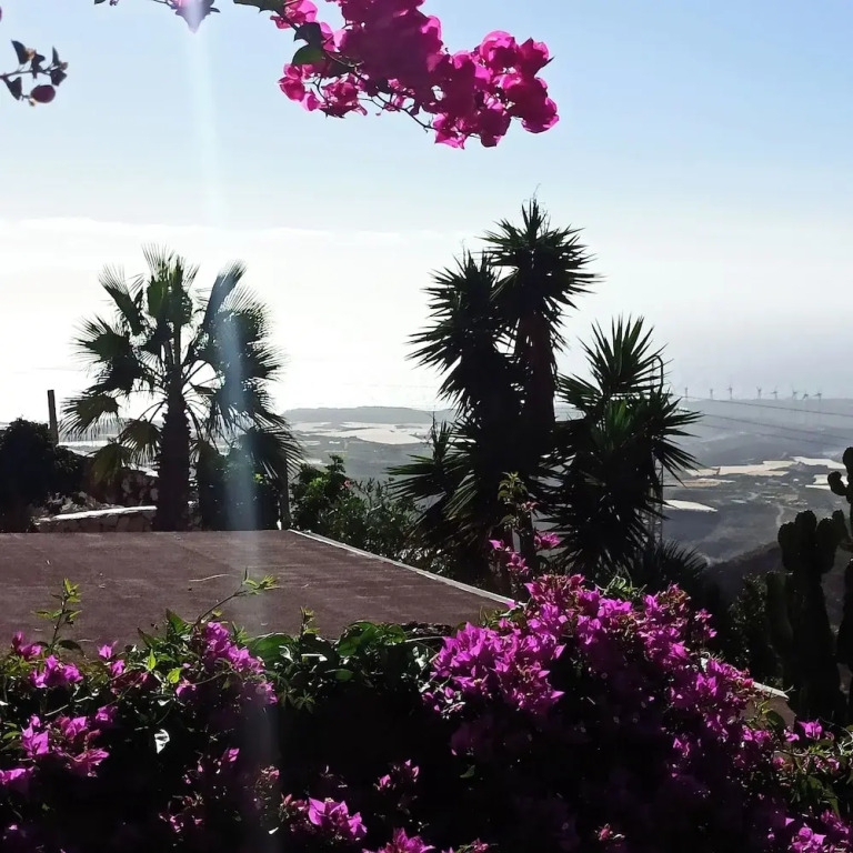 Finca Aurora - Cozy 1-bed Apartment