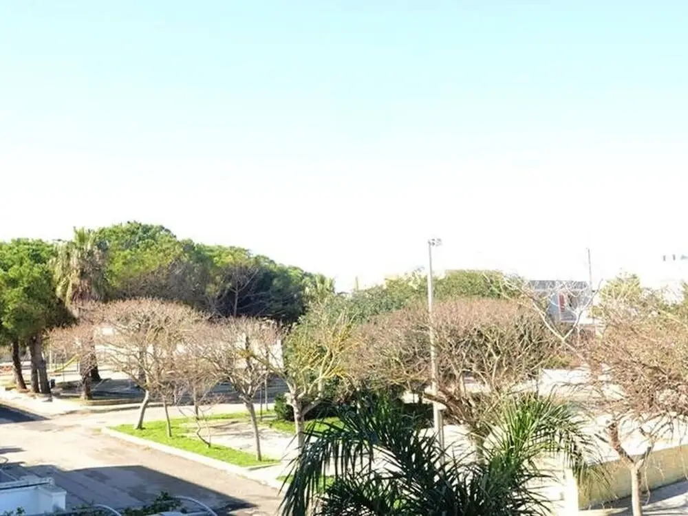 Cosy Apartment Near The Beach With Balcony Pets Allowed Parking Available