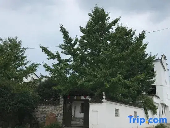 Jing County Siyou Chinese Inn