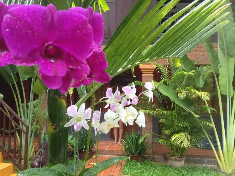 Molina Hotel