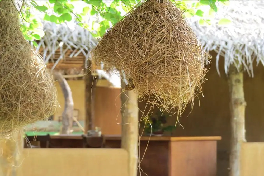 Green Ayurvedic Resort