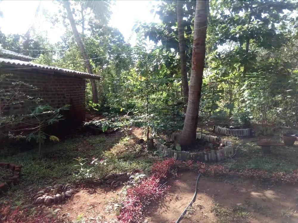 Yoho Mango Tree Home Stay & Hostel