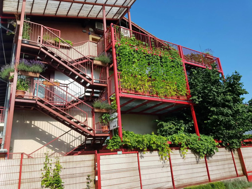 Ljubljanas terrace