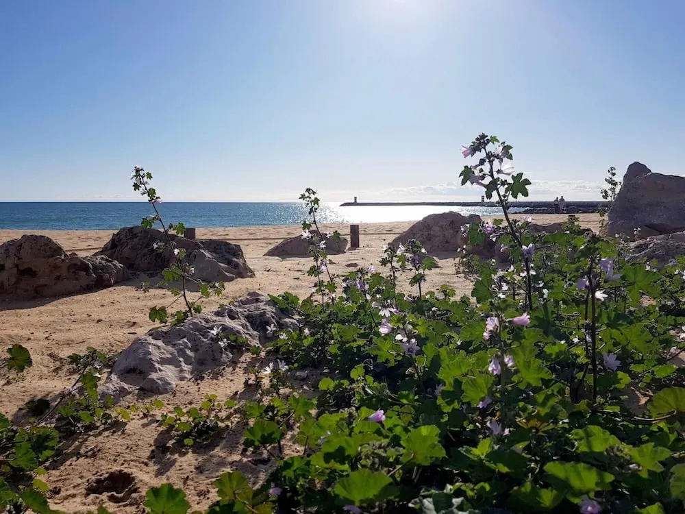 Albufeira Ocean View 62