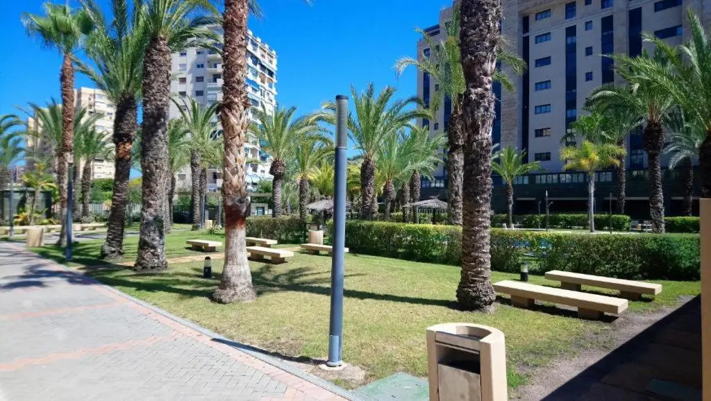 San Juan Playa Vip