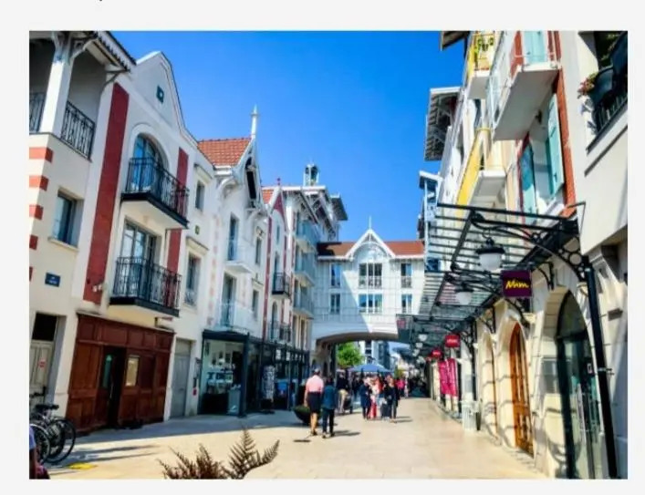 Appartement vue sur baie et océan, 100 m de la plage et du centre par chemin privé