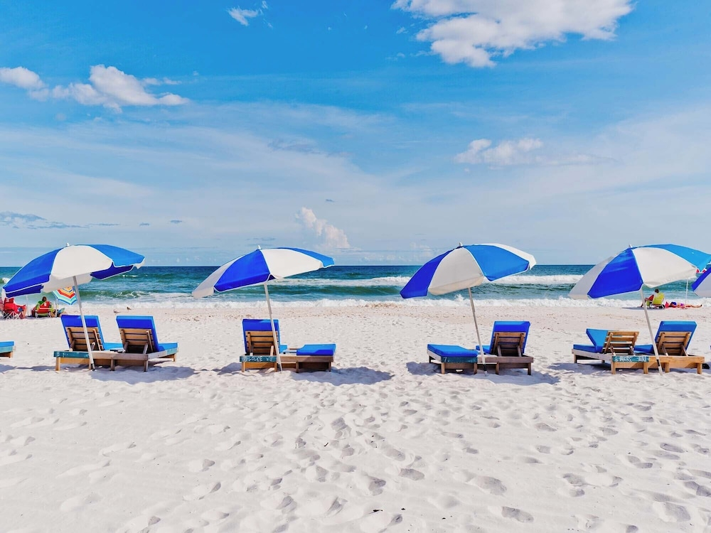 Tradewinds #002