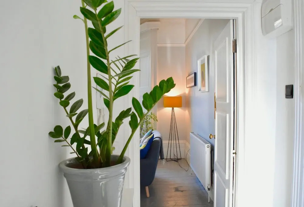 Modern 1 Bedroom Flat in Finsbury Park