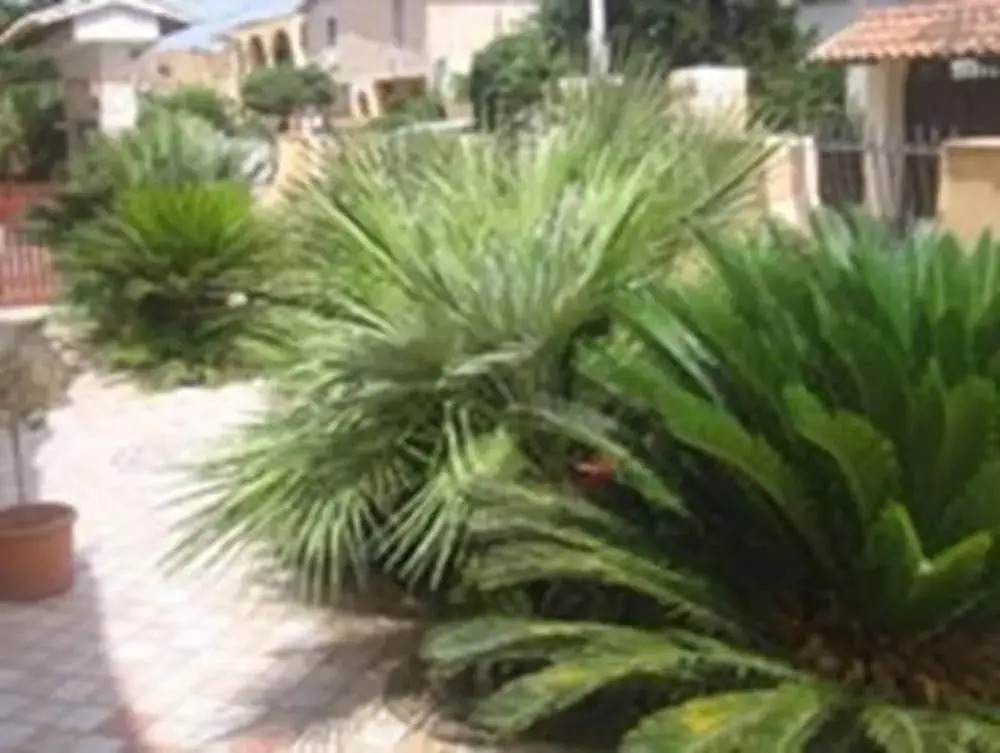 B&B Villa Olimpo Le Torri