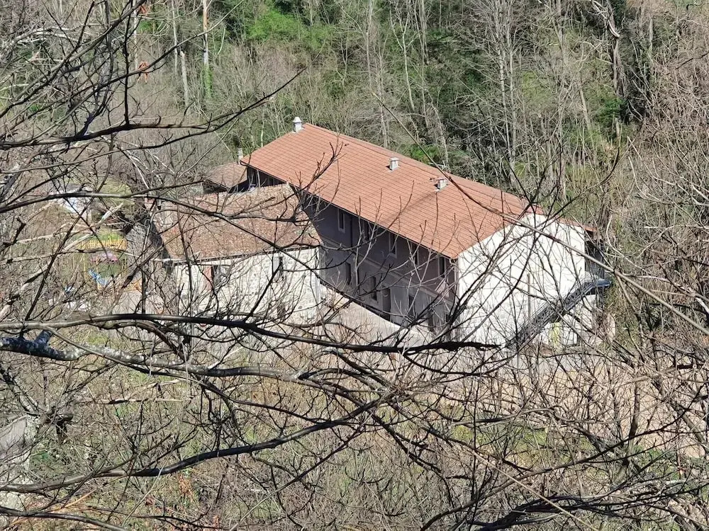 L'étape Dumas