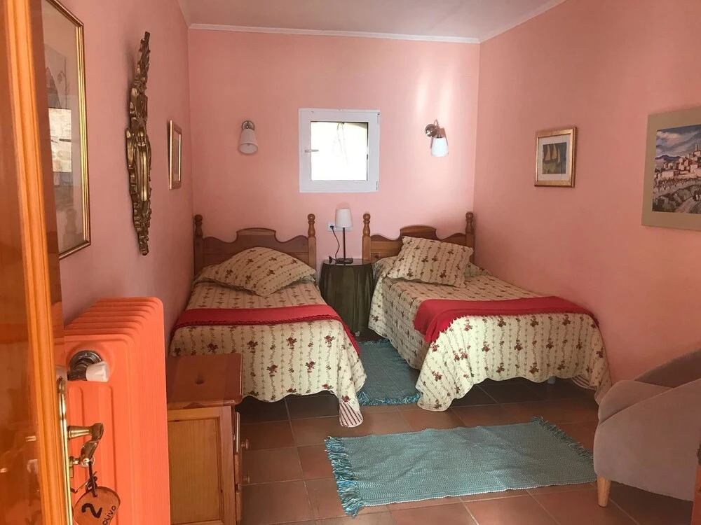 El Olivo de Sansol