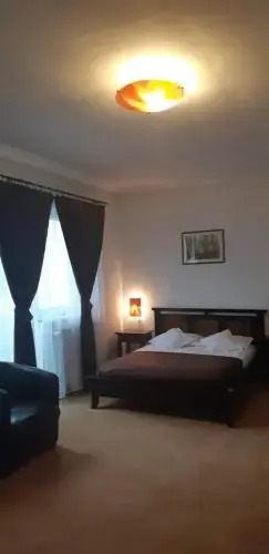 Vila Vlad