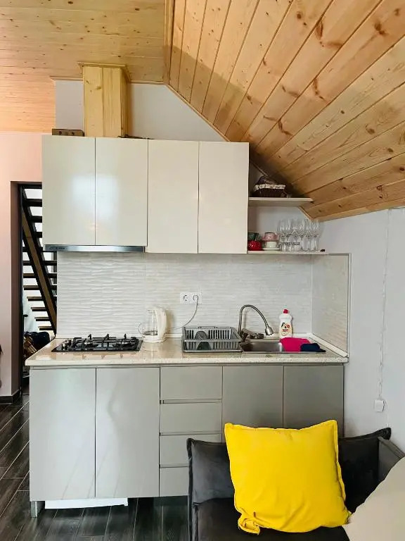 Snow Forest Bakuriani Apartment 17B