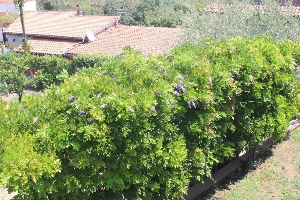 Villa Sicilia Apartment