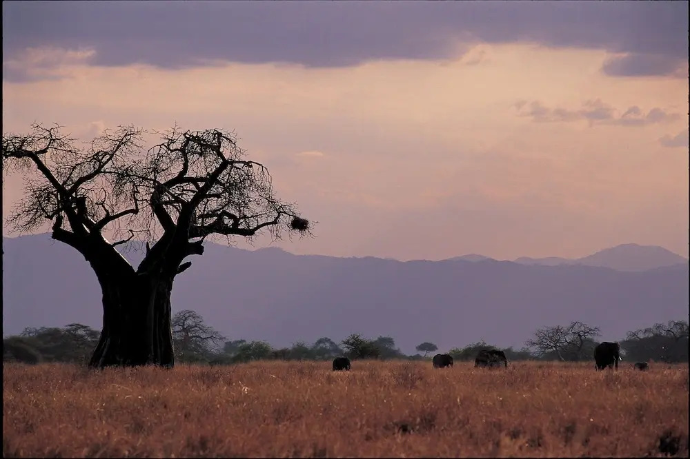 Ngorongoro Farm House