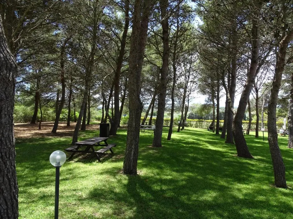 Sole del Mediterraneo