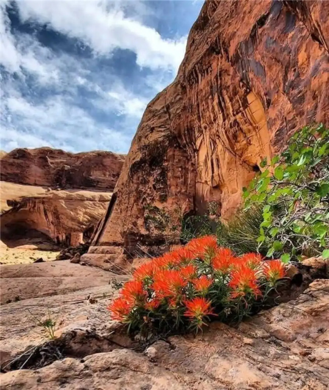 Slot Canyon B 1 Bedroom 1 Bathroom Condo