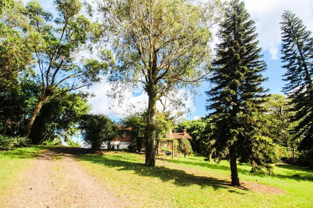 Morada das Bromélias