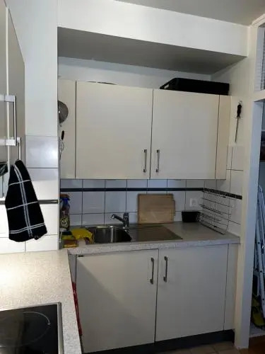 Beautiful Large Studio in center of Geneva Free Wifi
