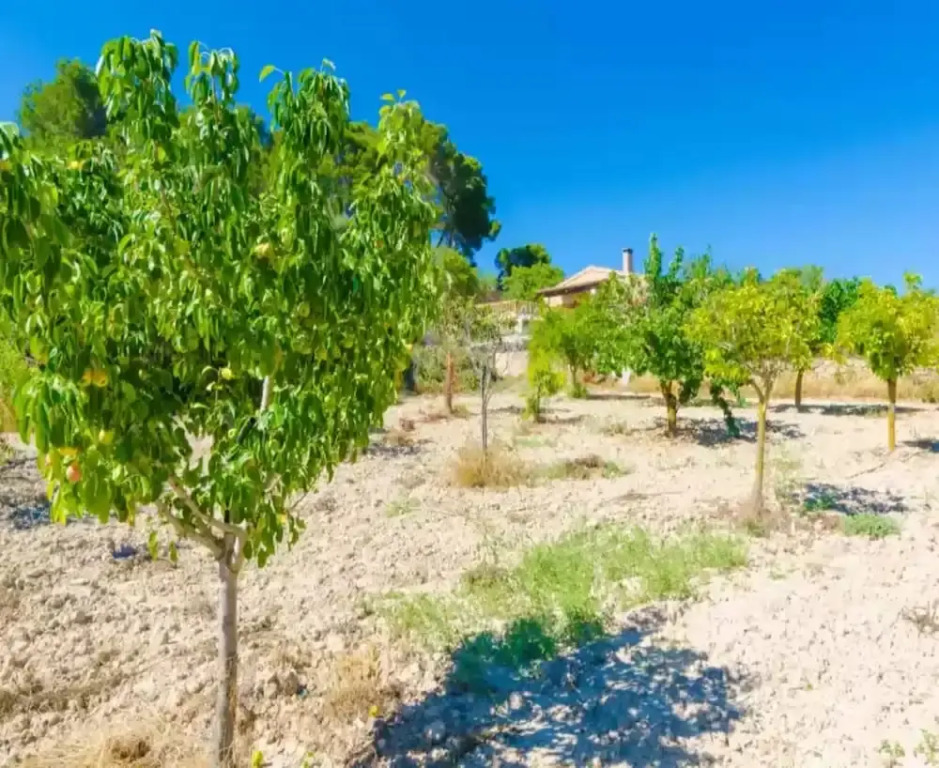 S'aresta Den Rumbet - Villa With Private Pool