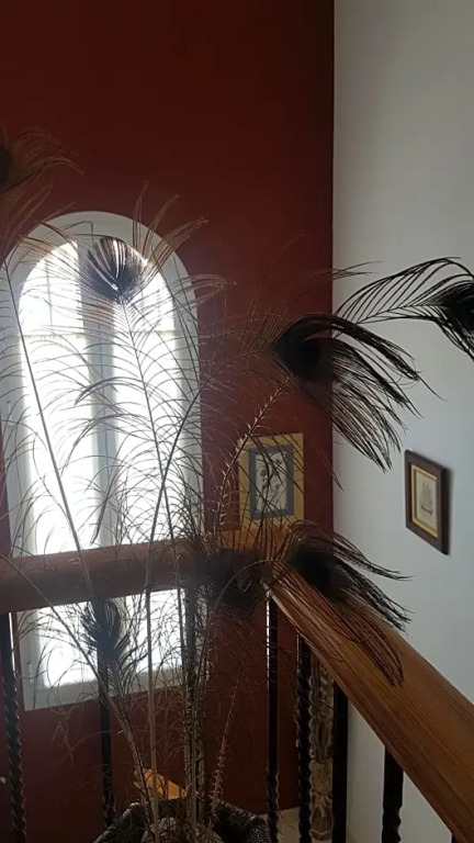 El Rengue