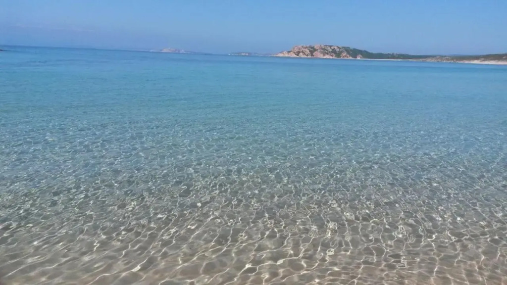 gli olivastri -casa corbezzolo con piscina e splendida vista mare
