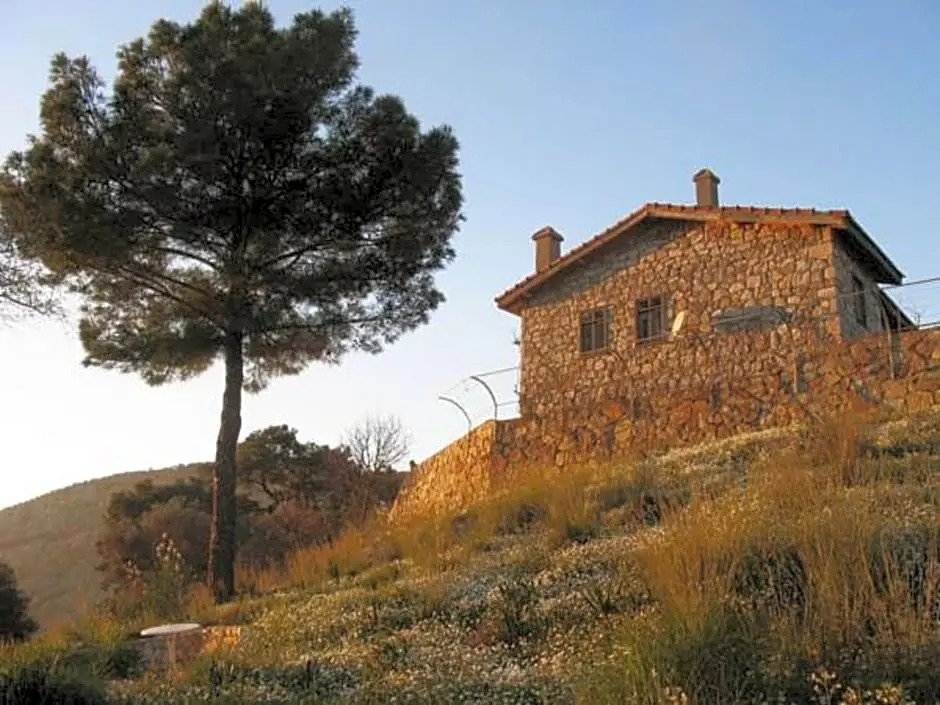 Palm House Dalyan