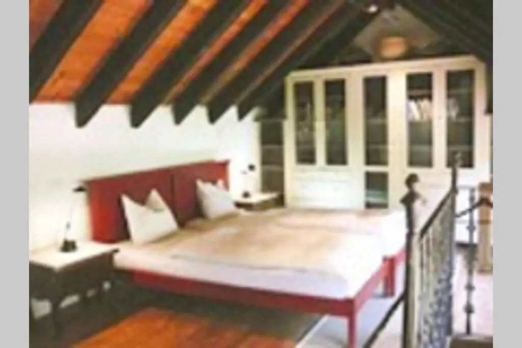 Casa Avocado