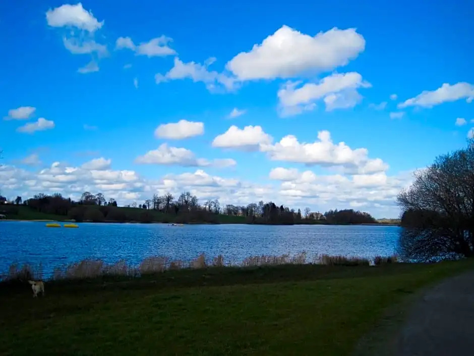 Le bouddha du lac