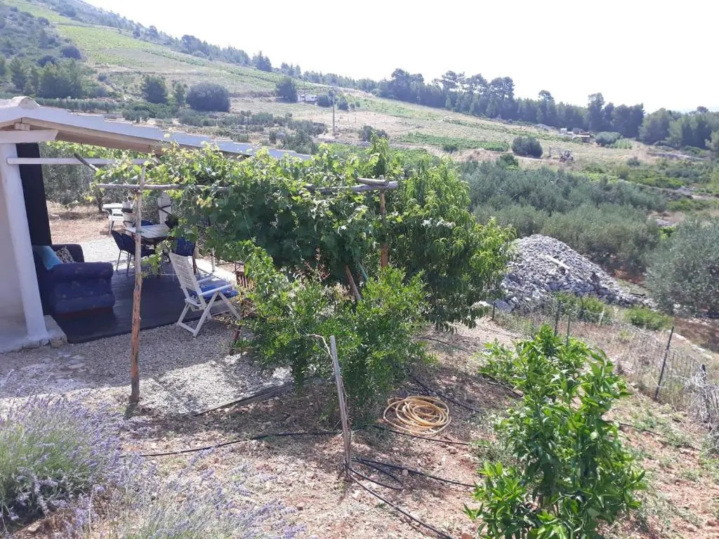 Matan's cottage
