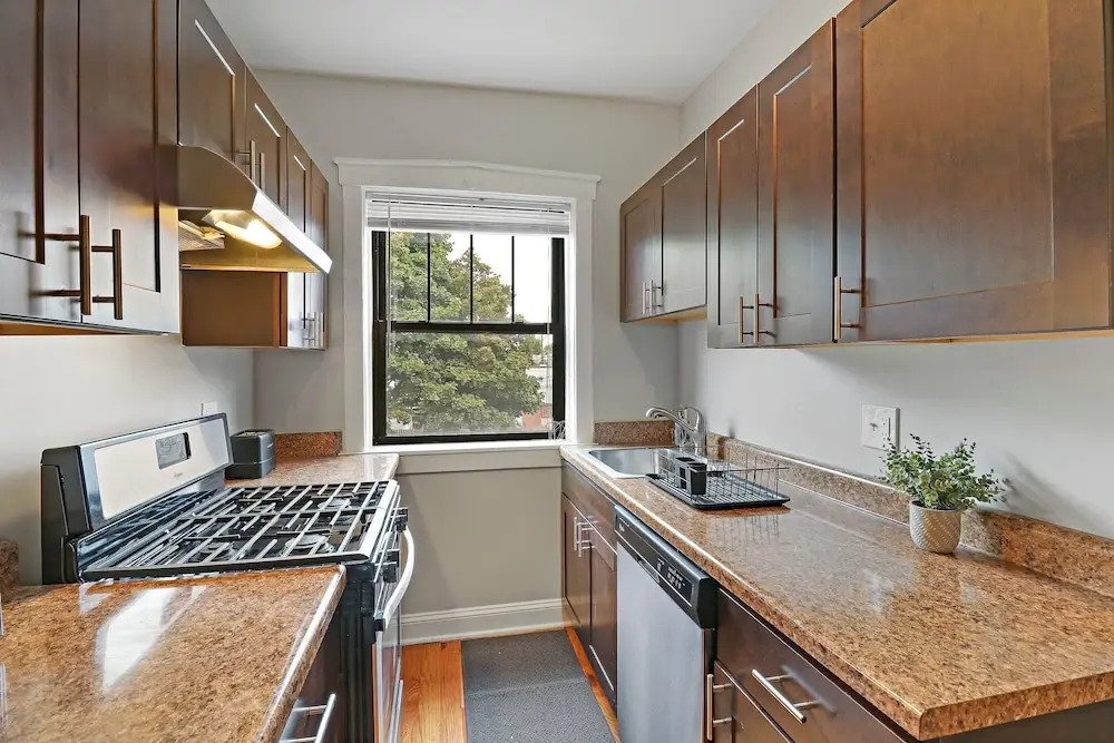 Portage Park Classic 1BR Apt in Montrose