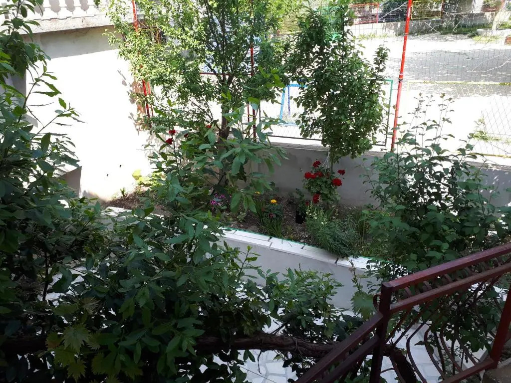Apartment Ruzmarin