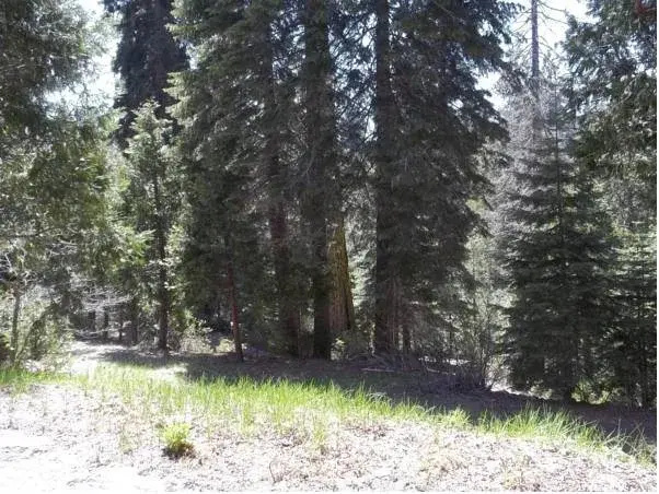 White Chief Mountain Lodge