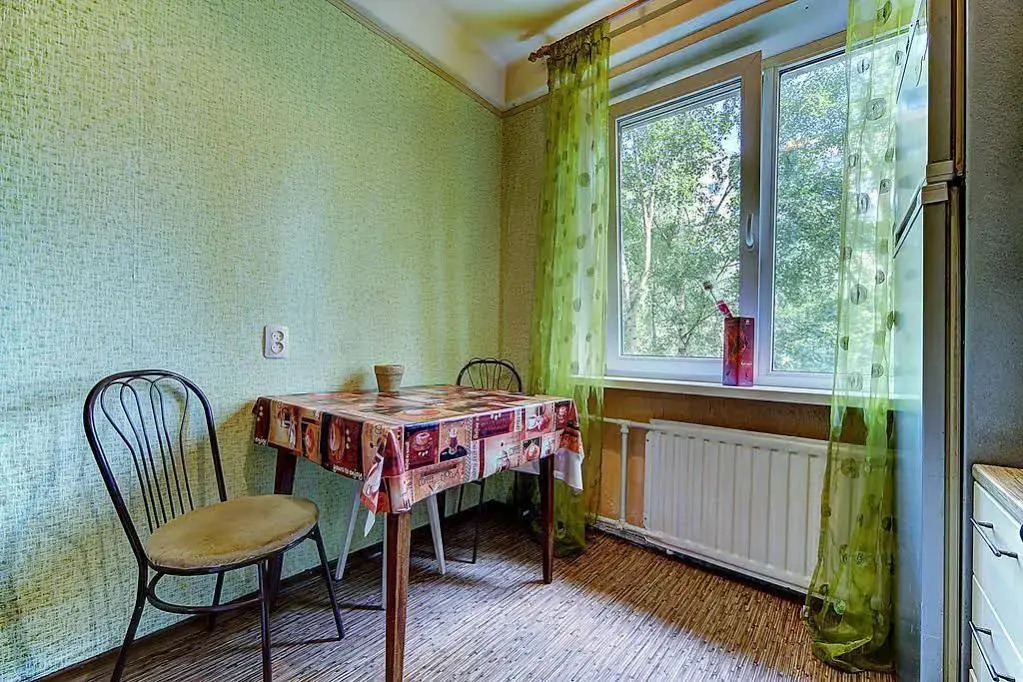 Apartment Ladozhskaya