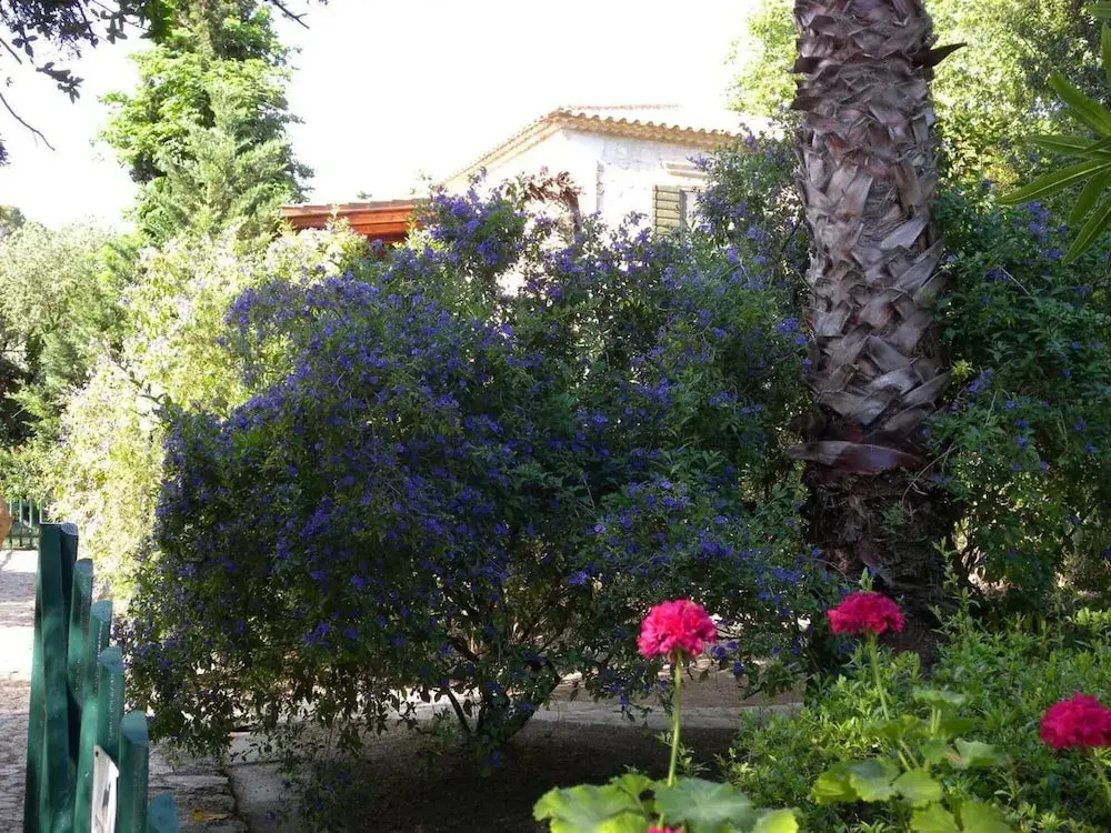 Jiannis Villa - Stone Villa in the Greenery