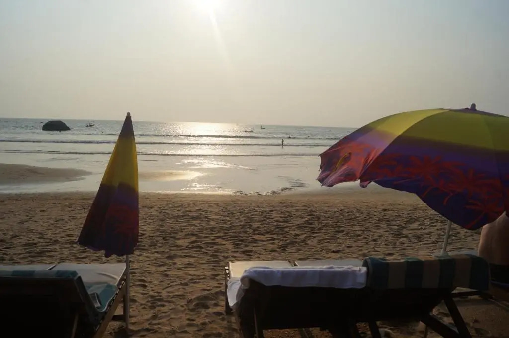 Royal Wood Beach Resort