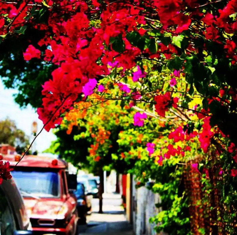 Malaga Beach Holidays