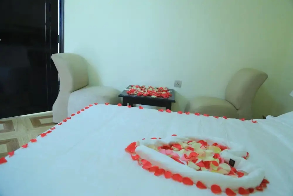 New Vision Addis Hotel