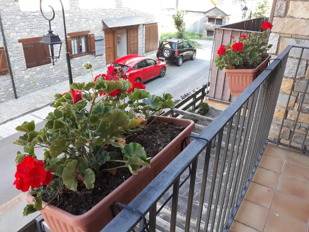 Acogedor Apartamento 2 Habitaciones en Boí