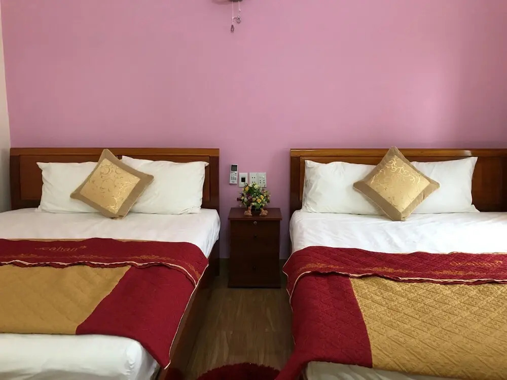 Phong Nha Homestay
