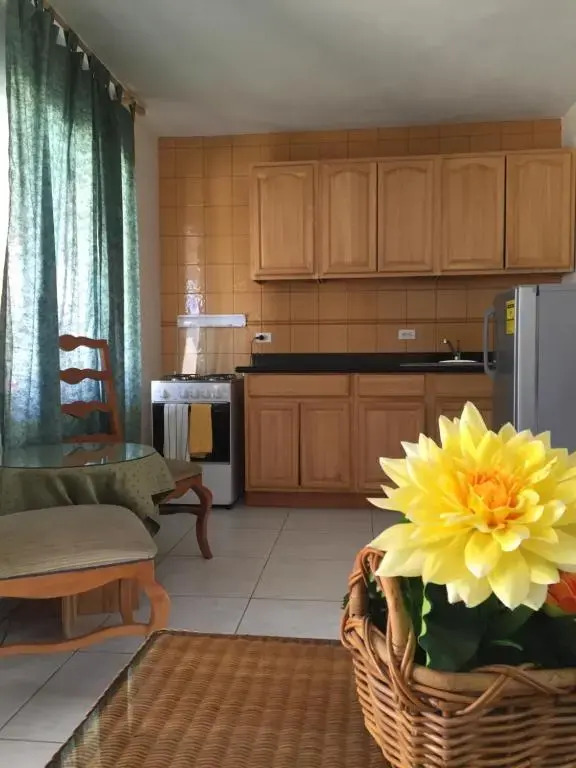 E Solo Aruba Apartments