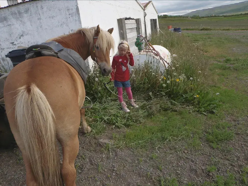 Ferðaþjónustan Geitaskarði