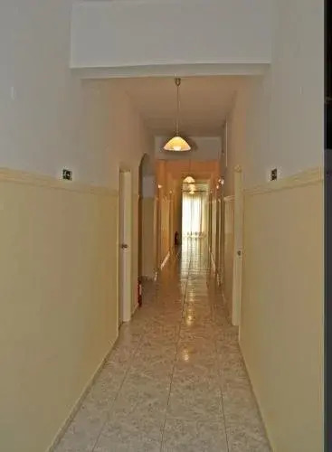 Delfini