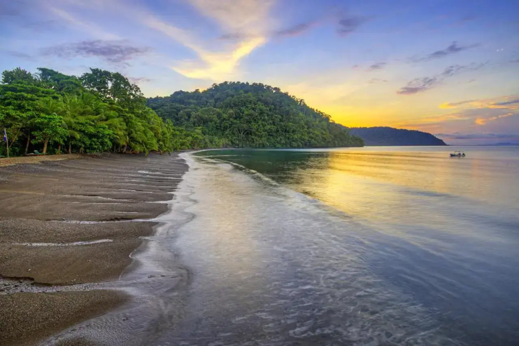 Playa Nicuesa Rainforest Eco Sanctuary
