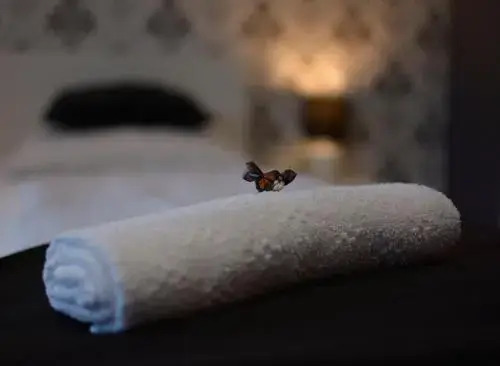 Rose Gold Panzió