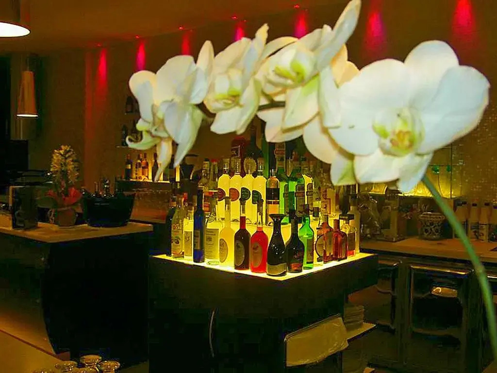 Hotel Montecarlo