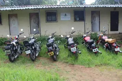 Green Fog Guesthouse