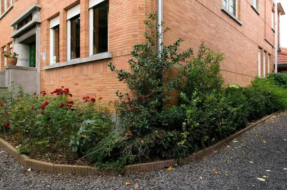Hotel - B&B Elementum
